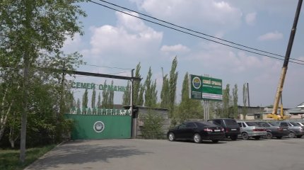 Скандал в резервате «Семей орманы»: спецкомиссия расследует факты незаконных рубок и хищений