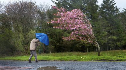 Ветер и заморозки: прогноз погоды на 18 и 19 мая