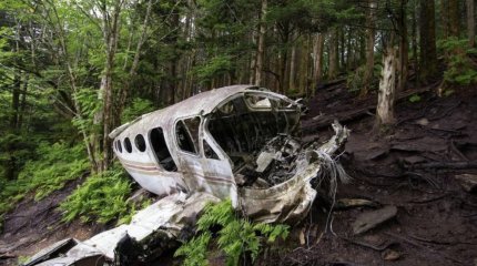 Четырёх детей нашли живыми спустя 16 дней после крушения самолёта