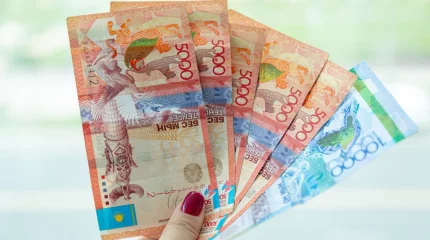 Сенатта адамдардың кредит тарихына қатысты заң мақұлданды