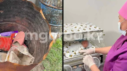 "Қалағаныңды істе деді": Оралда жаңа туған сәбиін қоқыс жәшігіне тастаған ана бұл әрекетінің себебін түсіндірді