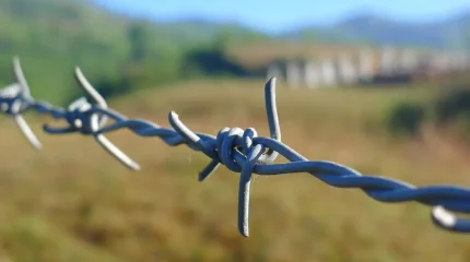 Алматы облысындағы әйелдер колониясынан тұтқын қашып кетпек болған