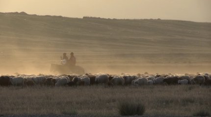 «Возвращённые земли – большая подмога для народа», - фермеры Алматинской области