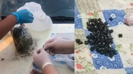 Жетісу облысында есірткі қойып кетуші 10 жылға сотталды