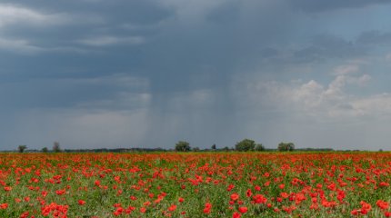 Мұны көру үшін шетелден туристер келеді. Алматыдан 45 шақырым жерде не бар?