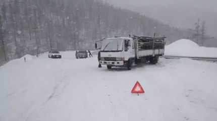 Моңғолияда қарлы боран соғып тұр