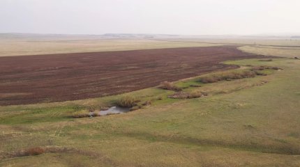 Фермеры четыре года судятся за землю в Карагандинской области