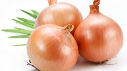 Қазақстанға Тәжікстаннан 50 мың тонна пияз жеткізіледі