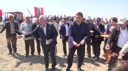 Қызылордада күріш алқабына дән себілді