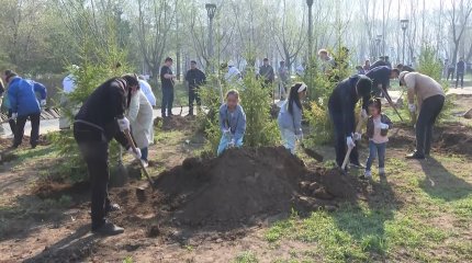 Жалпыхалықтық сенбілікке 62 мыңға жуық адам қатысты