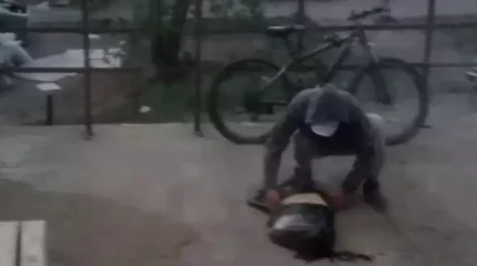 Степногорскіде ер адам көршілерінің көзінше итті 5-қабаттан лақтырып жіберген