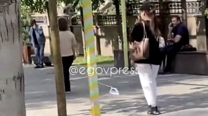 Алматинка выгуливала утюг