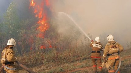 Лесной пожар вспыхнул в Абайской области, под угрозой санаторий