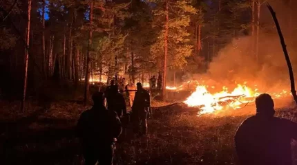 Абай облысында өрт 1,1 мың гектарға тарады - ҚР ТЖМ
