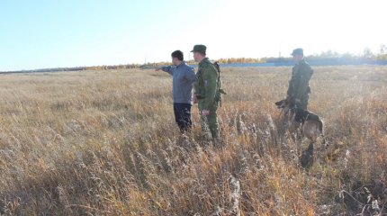 Ресейде шекарадан заңсыз өткен қазақстандық шопандар 6 жылға сотталуы мүмкін