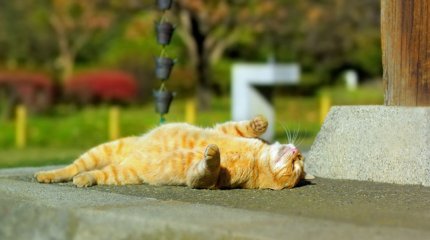 Жару и дожди вновь обещают в Казахстане