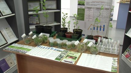 Выставка результатов научной деятельности открылась в Алматы
