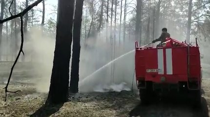 Из-за пожара в области Абай вводят режим ЧС