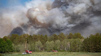 Абай облысындағы орман өрті оқшауланды – ТЖМ
