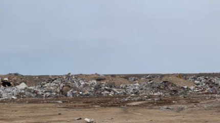 Предприниматель организовал стихийную свалку на окраине столицы