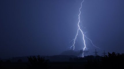 Солтүстік Қазақстан облысында найзағай малшыны атымен қоса мерт қылды