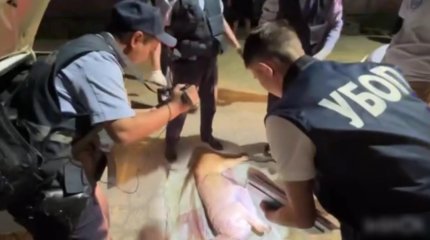 Три года тюрьмы грозит кызылординцам за трёх убитых джейранов