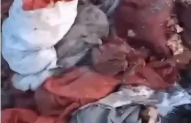 Қызылордадағы қоқыс полигонында қап-қап картоп пен сәбіз неге жатыр? Корпорация ресми жауап берді