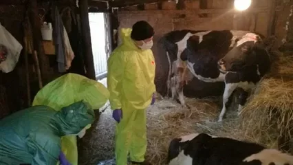 Бруцеллезге байланысты Ақмола облысындағы Мариновка ауылына шектеу енгізіледі