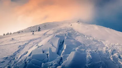 Пәкістанда қар көшкіні 11 адамның өмірін қиды