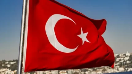 Түркиядағы президент сайлауының алдын ала қорытындысы жарияланды