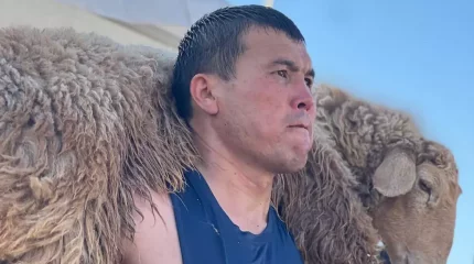 Салмағы 40 келі қошқарды 3555 рет көтерген Арыс тұрғыны Қазақстан рекордтар кітабына енді