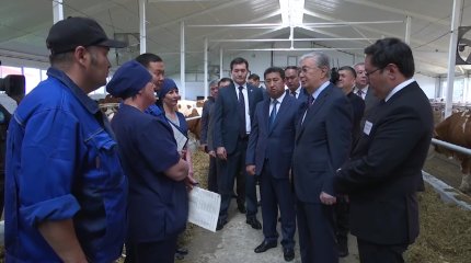 Сельское хозяйство находится под моим неусыпным вниманием, - Токаев