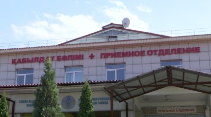 Школьницу на высокой скорости сбило летевшее по встречке авто в Алматинской области