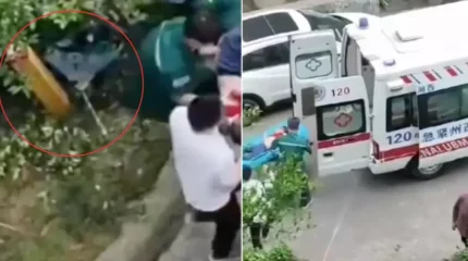 Төрт жасар бала 26-қабаттан қолшатырмен ұшып, құлап аман қалған