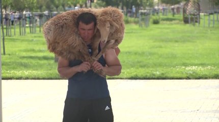 Түркістан облысының тұрғыны қошқарды 3555 рет көтеріп, рекорд жаңартты