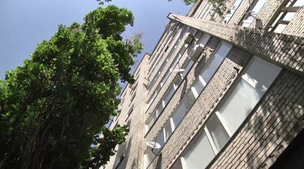 Три ребёнка получили тяжёлые травмы головы при падении с высоты в Павлодарской области