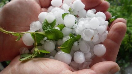 Град, заморозки и пыльные бури: погода на 4 мая в Казахстане