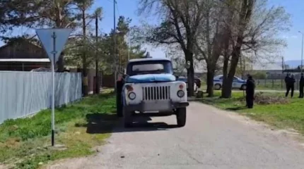 Талдықорғанда жүк көлігі үш жасар баланы қағып кетті