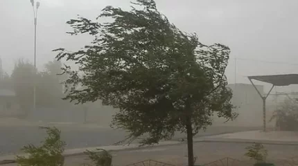 Түркістан облысындағы дауылды жел: Жарық өшіп, мектептер онлайнға көшті