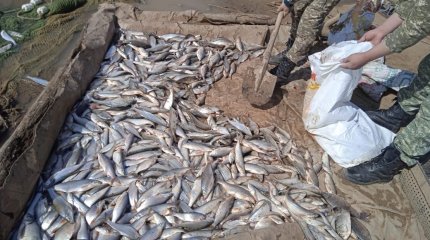 45 западноказахстанцев наказали за рыбалку