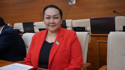 Депутат төрт балалы аналарды 53 жаста зейнетке шығару керегін айтты