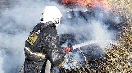 Территория возле нефтебазы горит в СКО (ВИДЕО)