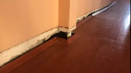 Жамбыл облысында мектеп директоры оқушыларға кабинетін босатып беруге мәжбүр болды