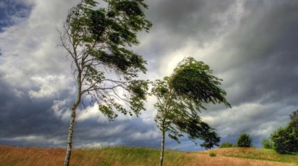 Синоптиктер ауа райына байланысты тұрғындарға ескерту жариялады