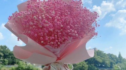 Львы исцелят, Тельцы сияют: гороскоп на 9 Мая