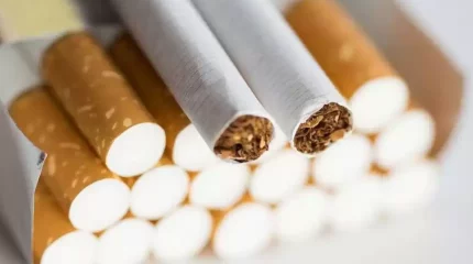 Астанадан 2500 қорап темекіні Еуропа елдеріне заңсыз өткізбек болғандар ұсталды