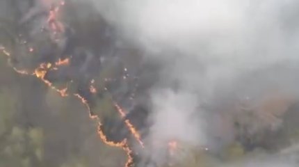 О ситуации с пожаром в области Абай рассказали в МЧС