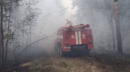 Ситуацию с пожаром в области Абай обсудили в правительстве
