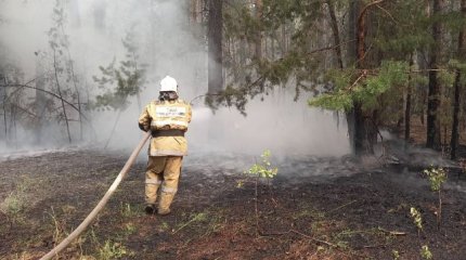 Тела еще 11 погибших обнаружили в области Абай