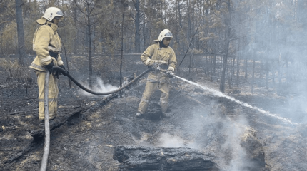 Абай облысындағы өрт: 5 учаскеде қызыл жалынды сөндіру жұмыстары жалғасып жатыр